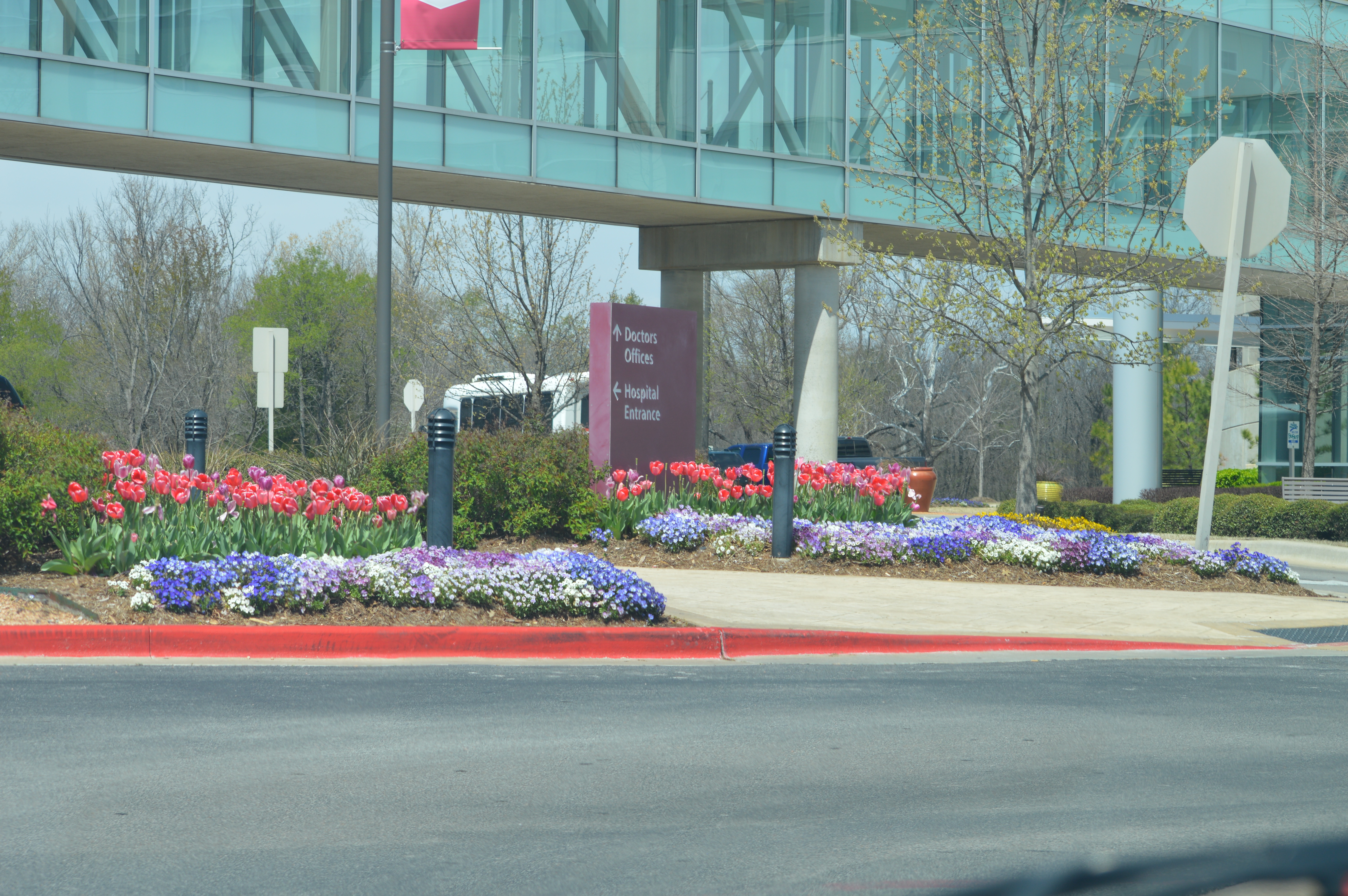 Hospital Landscaping