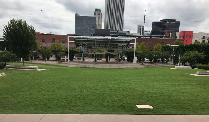 Fresh Cut Grass in Park